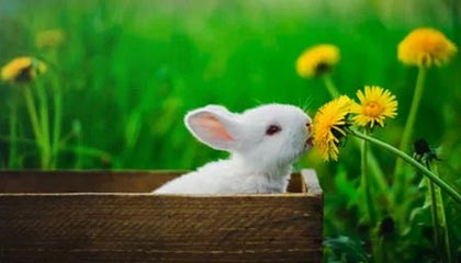 江苏伴游,定制QQ:3494206190微信:act1322